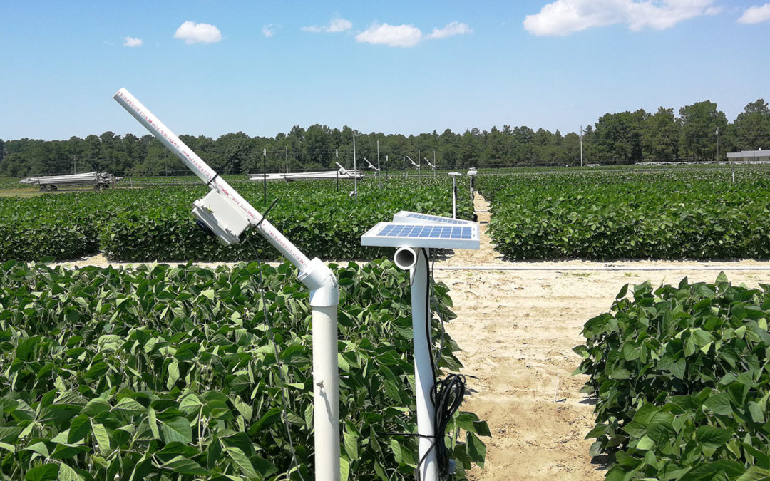 Low-Cost Cameras Could Be Sensors to Remotely Monitor Crop Stress